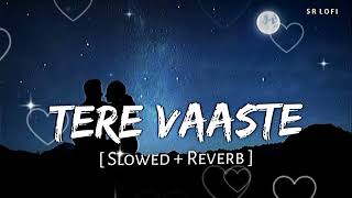 VAASTE song slowed reverb alone night mashup vaastesongstatus [upl. by Ilojna285]