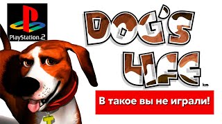 Dogs Life PS2  Недооценённый шедевр [upl. by Burman443]