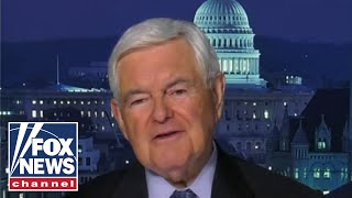 Newt Gingrich rips Biden over peaceful invasion at border [upl. by Nannarb15]