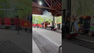 🚂 Top fun at Trego Mills Railway [upl. by Borrell]