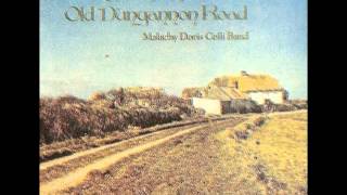 The Malachy Doris Ceili Band  Cottage On The Old Dungannon Road [upl. by Eustashe]