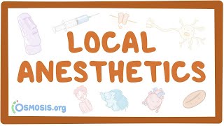 Local anesthetics pharmacology [upl. by Yraht]