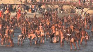 Best of Allahabad Kumbh mela  Worlds largest religious gathering [upl. by Grube]