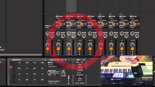 Setting up Maschine Groups in Ableton Live [upl. by Acirahs]