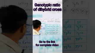 genotypic ratio of dihybrid cross [upl. by Esemaj739]