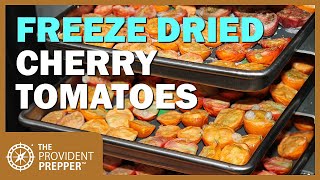 Food Storage FreezeDried Cherry Tomato Snacks [upl. by Aneleve705]