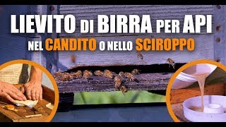 Lievito di Birra per Api nel Candito o nello Sciroppo [upl. by Aitat]