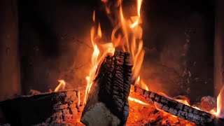 Night Campfire Ambience  Relaxing Fire Sounds for Deep Sleep amp Stress Relief [upl. by Halley]