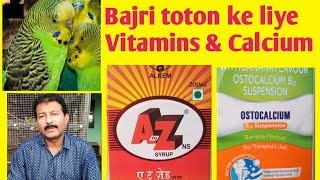 Calcium amp vitamin syrup for Australian parrots  Ostocalcium amp A2Z bajri toton ko kaise dena he [upl. by Howlan]