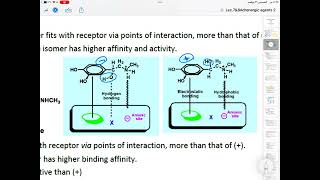 Adrenergic agent agonist orgpharmachemistry البارت الاول [upl. by Namzaj]