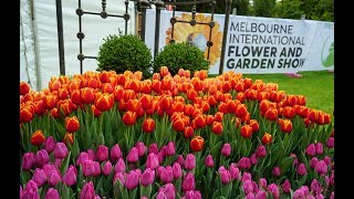 Melbourne International Flower and Garden Show  Top Events in Melbourne [upl. by Maddock823]