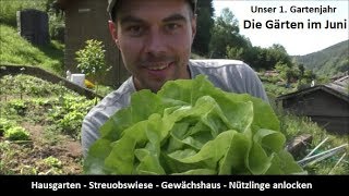 Die Gärten im Juni  Hausgarten  Streobstwiese  Gewächshaus  Nützlinge anlocken [upl. by Charteris852]