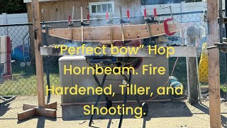 “Perfect bow” Hop Hornbeam Fire Hardened Tiller and disaster With Joe Zummo [upl. by Sibley480]