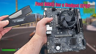 DDR4 vs DDR5 RAM with a budget CPU  Does it improve gaming performance [upl. by Mord]