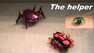 The All New Hexbug Scarab [upl. by Bergh]