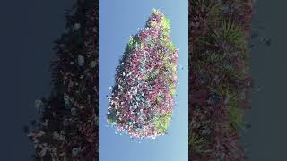 BREAKDOWN GUCCI FLORA EFFECT COVERED BY FLOWERS 3danimation gucciflora perfumeanimation 3ddesign [upl. by Tavey]