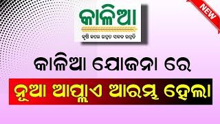 Kalia Yojana New Apply Start  Kalia Yojana New list 2023 Odisha  Kalia Yojana Online Apply [upl. by Hardner429]