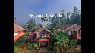 Wayanad kerela travel vlog 2018  Vistara resort [upl. by Irabaj]