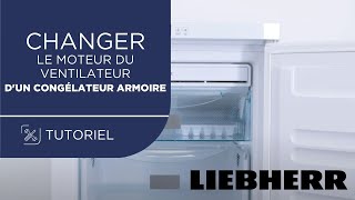 Comment remplacer le moteur du ventilateur dun congélateur armoire Liebherr [upl. by Mullac196]