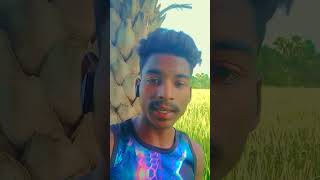 Inak dular time pass bansjori kana re  newsanthali Shorvideo 2024  ganga murmu [upl. by Granny]