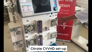 CVVHD setup citrate [upl. by Liebermann641]