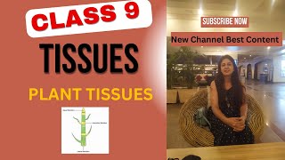 Meristematic Plant Tissues  Class 9 Tissues Apical Lateral and Intercalary Plant Tissues class 9 [upl. by Jo-Ann]