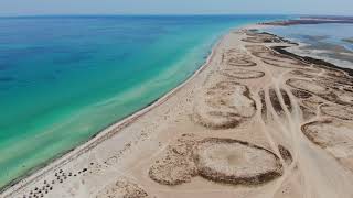 Lîle aux flamands roses Djerba  Tunisie [upl. by Earehs]