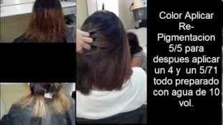 Colorimetria Reparar Cabello Dañado COLORIMETRY Repair Damaged Hair [upl. by Colyer]