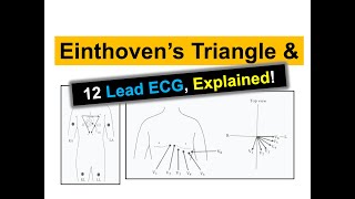 What does Einthovens Triangle entail and what is the process for creating a 12Lead ECG [upl. by Yelsnya]