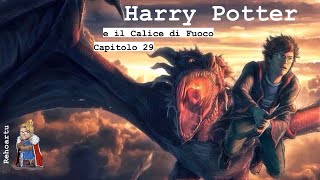 Audiolibro  Harry Potter e il calice di fuoco  Lettura e Commento Cap 29 [upl. by Good]