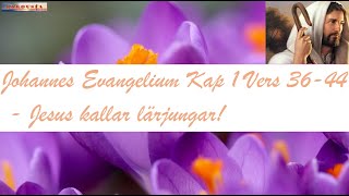 Johannes Evangelium Kap 1 Vers 36 44  Jesus kallar lärjungar [upl. by Robet755]