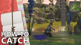 How to Catch Phyllinos in FFXIV for Pure Aqueous Glioaether [upl. by As615]