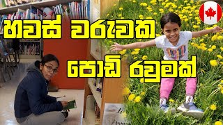 අපි දෙන්නගේ හවස් වරුව ගෙවුන හැටි  Spring Evening Vlog Canada Sinhala Vlogs SehaVlogs sinhala [upl. by Derfliw856]