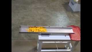 Conveying Lightweight Food with a Horizontal Conveyor [upl. by Lunsford]