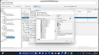 Advance Parameters Tab in Neoload userpath [upl. by Yelra995]