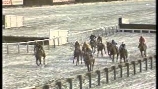 1987 Tote Cheltenham Gold Cup Chase [upl. by Aicertal]