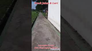 Track Jalan Lap Grogol Singonegaran Kediri shorts kotakediri kulinerkedirienak [upl. by Saxena]