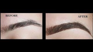 How to Get Thick Eyebrows Naturally Fast  Dark Eyebrows  Thick Eyebrows [upl. by Marucci]