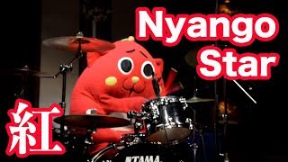 【超絶ドラム】にゃんごすたーnyangostar『紅』 X JAPAN [upl. by Hessney]