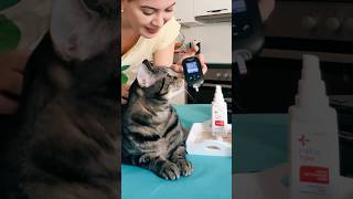 😻 Tried to do a tasting testy 😜 I think the glucometer as more reliable diabetes [upl. by Tallulah940]