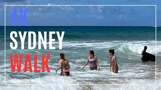 【4K】 Sydney Walk  Narrabeen Beach Collaroy Beach Fishermans Beach in Northern Beaches Council [upl. by Neumann]