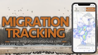 Duck Hunting  TRACK the MIGRATION with MIGRATION MAPS [upl. by Esenwahs]