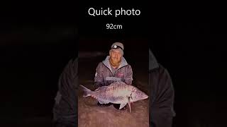 White Steenbras 92cm 98kg winterfishing penn fish whitesteenbras [upl. by Romine353]