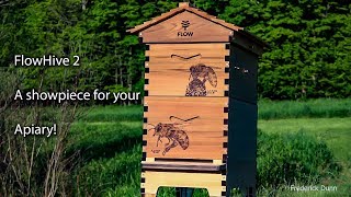 The Flow Hive 2 Bee Hive unboxing How to put a Flow Hive Together step by step [upl. by Arndt]