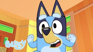 Burger Dog 🍔 🌭  FULL BLUEY MINISODE  Bluey [upl. by Eelik824]