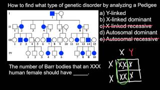 How to find type of Genetic Disorder by Analyzing a Pedigree [upl. by Miof Mela957]