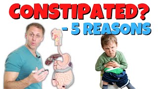 5 Reasons Youre Constipated [upl. by Alanah]