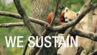 Smithsonians National Zoo We Save Species [upl. by Ahsiatal]