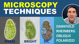 Comparing different Microscopy Techniques [upl. by Bernice]