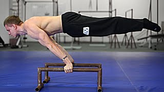 How To Planche  Beginner Tutorial [upl. by Miun243]